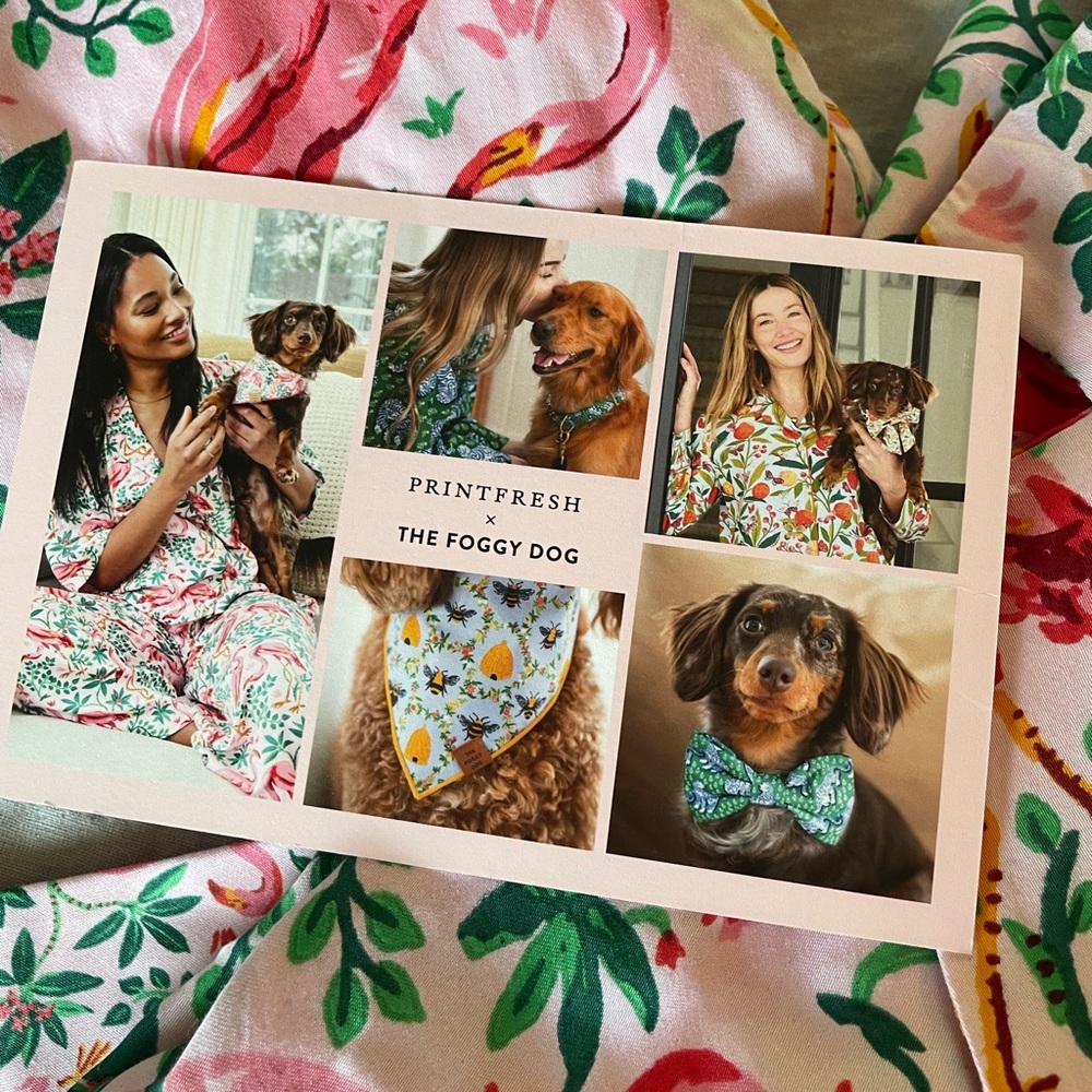 The Foggy Dog Bandana - Picture 11 of 12